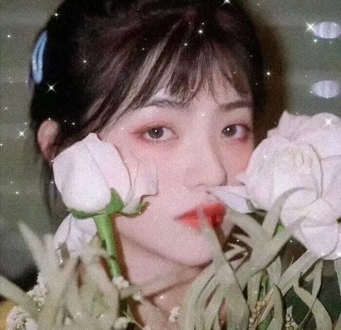 明星申银秀 